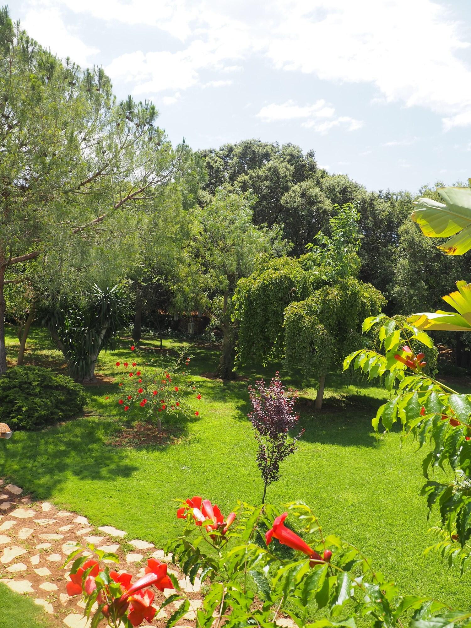 Son Mercadal Porreres Luaran gambar